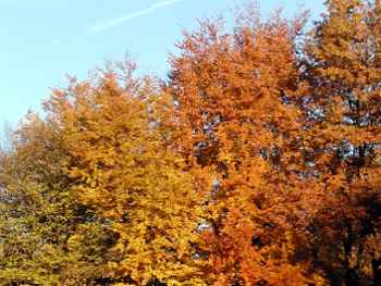 Wanderurlaub im Herbst - Bilder aus Bayern