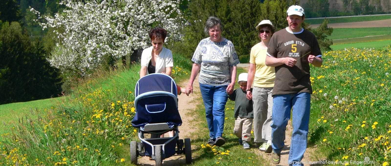 Wanderurlaub im Bayerischen Wald Familien Spaziergang