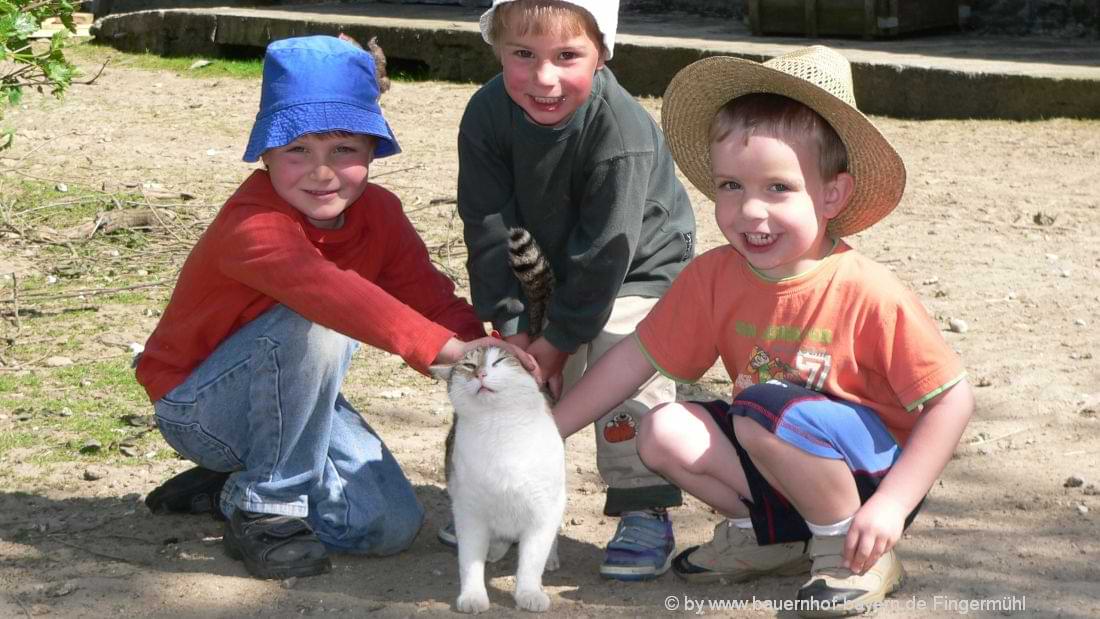 Kinder beim Katzen streicheln beim Bauernhofurlaub