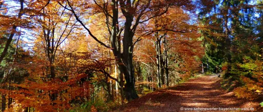 Wanderurlaub im Herbst tolle Bilder aus Bayern